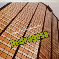 archivo_56